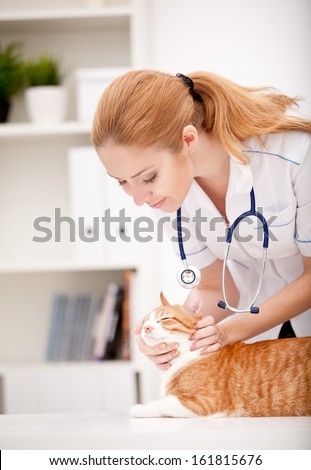cat and vet