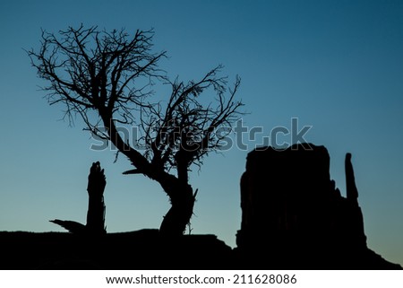 Monument Valley silhouette. Dead tree and the West Mitten rock standing out against the evening desert sky.
