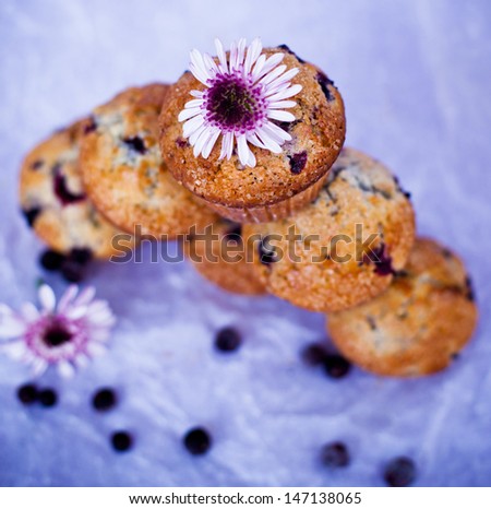 Blackcurrant muffins on the lilac background