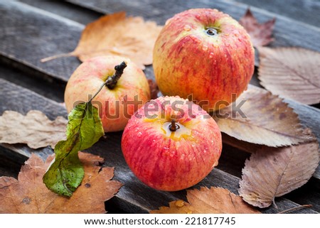 Wet fresh red apples on the fallen leaves on wooden table