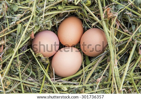 Country eggs on hay