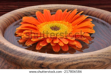 Spa still life with orange daisy floating in water in a wooden bowl