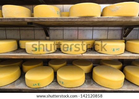 Cheese maturing on the shelves in the farm cellar, Slovenia