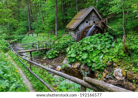An old watermill by the stream in the forest in the spring