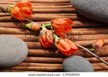 Oval river\'s stones with a sprig of flowers.