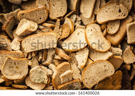 Many slices of stale bread. Dry bread thrown in the trash.