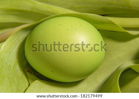 The egg painted in green color, covered by leaves . Easter postcard.