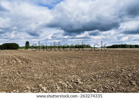 Agricultural landscape, plowed field in seeding, dramatic dark clouds on the horizon.