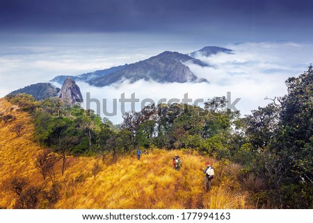 Hikers group walking in mountains
