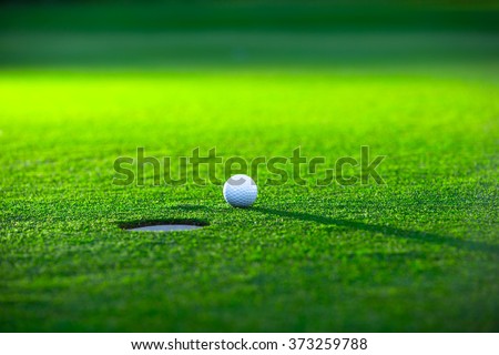 Golf ball on the lawn