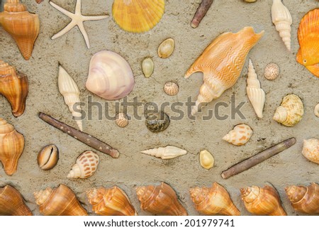 Starfish and shells to decorate on cement wall.