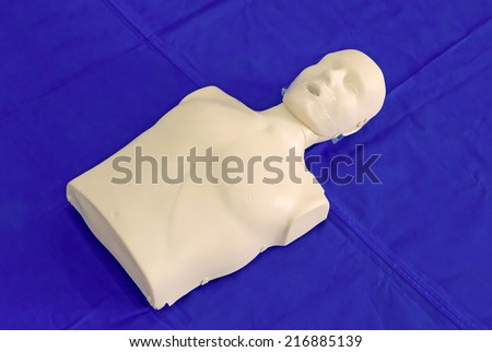 modeling of dummy used in CPR training.