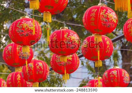Traditional Chinese lantern hanging on tree in public park.