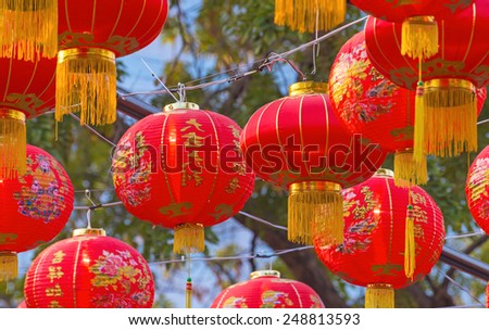 Traditional Chinese lantern hanging on tree in public park.