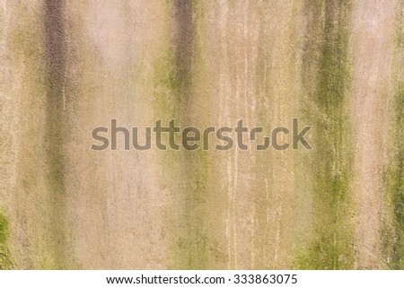 Surface concrete cement wall texture with fungus for background.