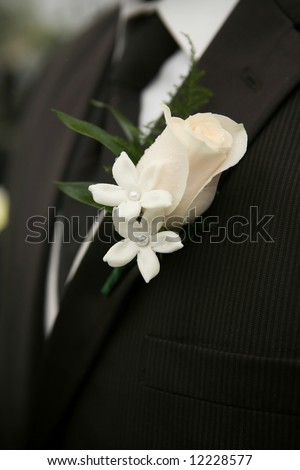 stock photo White Rose Wedding Boutonniere On Suit of Groom