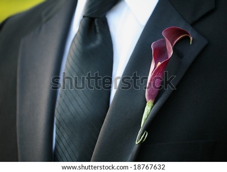 stock photo Purple calla lily wedding boutonniere on sit of groom