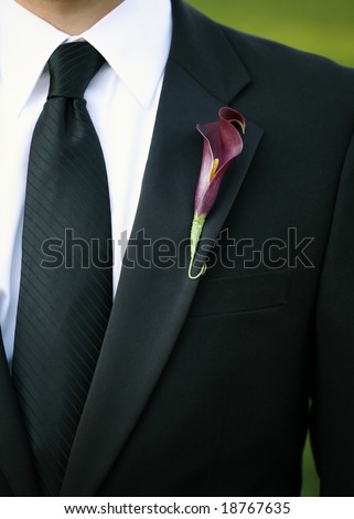 stock photo Purple calla lily wedding boutonniere on suit of groom