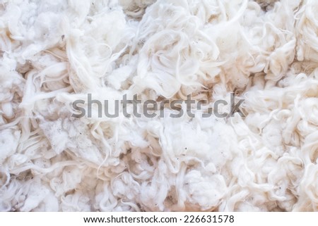 Raw cotton natural material background texture