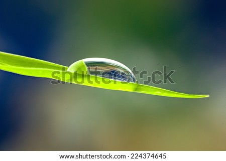 waterdrops on a green leaf shooting in close up