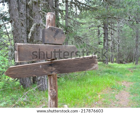 A blank wooden (concept) sign post amongst a wooded path