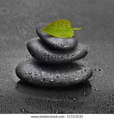 black stones and leaf with water drops