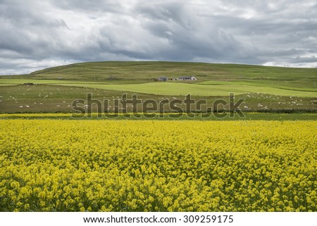 Orkney Islands panorama
