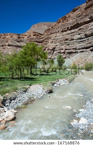 In the upper part of its valley, the Dades river rushes through arid mountains at the feet of cliffs. Green grass and some trees grow on the bank of the stream.