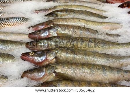 Plenty of fresh raw fish in supermarket