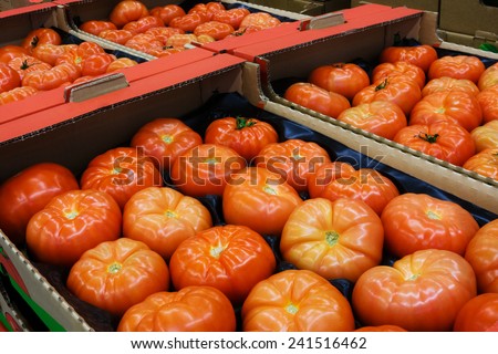 Plenty of tomatoes in the boxes at the food store