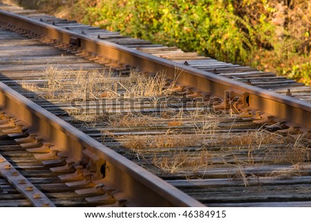 Railroad tracks in morning light