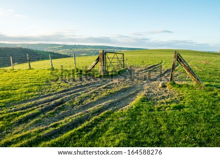 An open gate in the Welsh hills with tracks leading through.