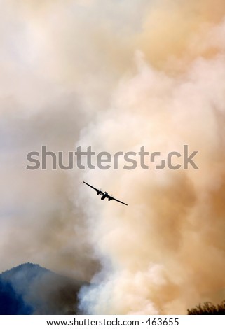 Airplane Fighting A Forest Fire