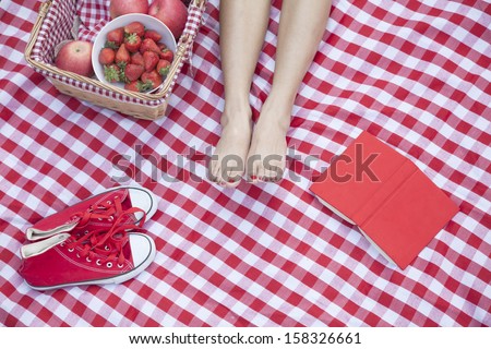 Young woman\'s feet on a checkered blanket with a picnic basket