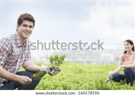 Young smiling man holding plant and gardening with young woman in roof top garden