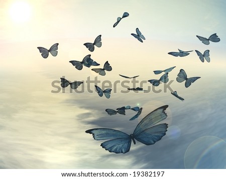Pictures Of Butterflies Flying. Butterflies Flying Over