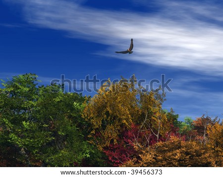 Flying Eagle in Autumn Sky