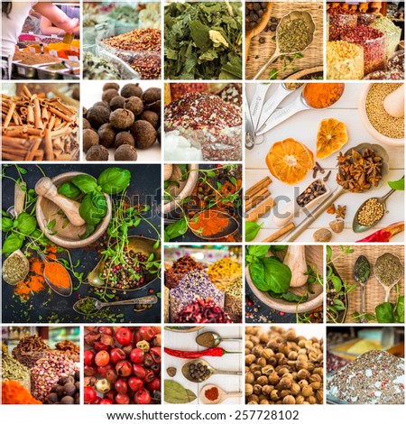 collage photos of various spices and herbs