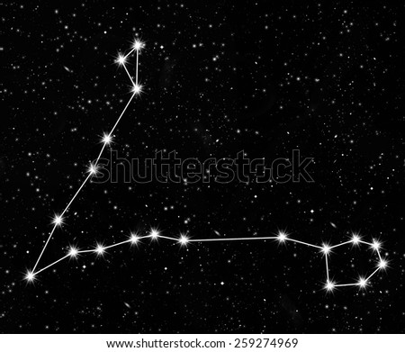 constellation Pisces against the starry sky
