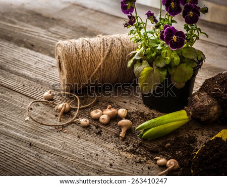 Plants for planting and garden accessories on a wooden table vintage