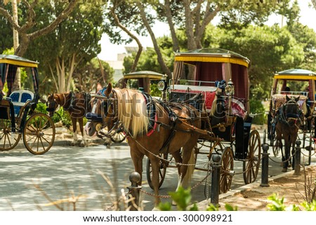 Row of horse with carriages in Mdina, old capital of Malta. Attraction for tourists.