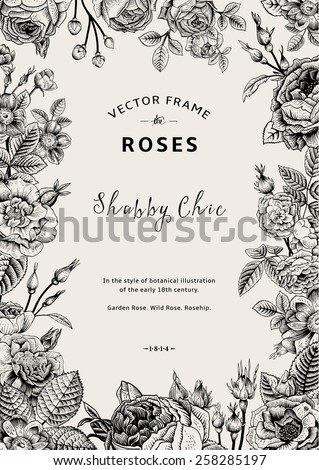 Vintage vector frame. Garden and wild roses. In the style of an old botanical illustration. Black and White.