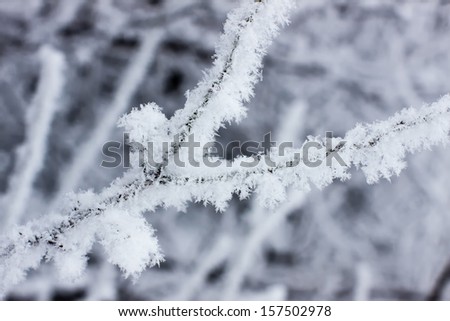 Beautiful works of winter, frost and snow