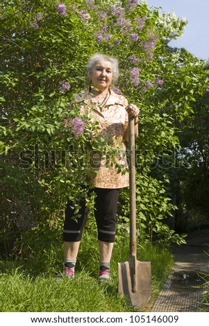 Old lady working in garden near shrubs with purple lilas.