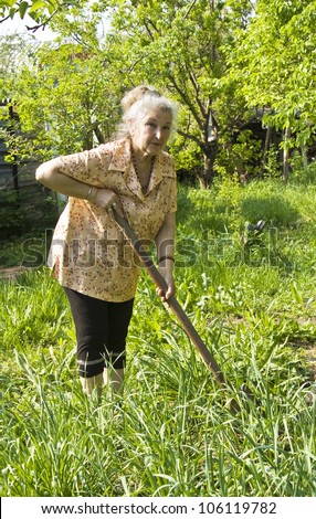 Old lady working in the garden in summer or spring.