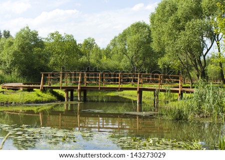 Summer landscape - wooden bridge in river in park, recorded in park Sviblovo in Moscow.