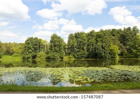 Summer landscape - lake with water lilies and forest on bank, recorded in park Kuzminki  in Moscow.