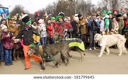 MOSCOW - MARCH 15, 2014: Parade in S. Patrick`s day in Moscow, dog's parade of irish setters.