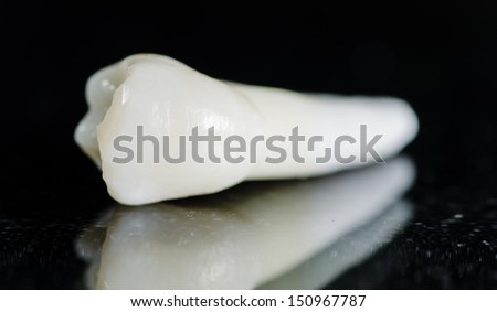 maxillary premolar - extracted teeth