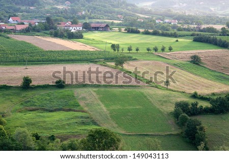 Cultivated fields in hilly areas